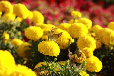 Similar image 11134344