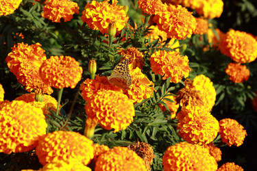 Similar image 11134365