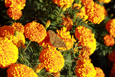 Similar image 11134366