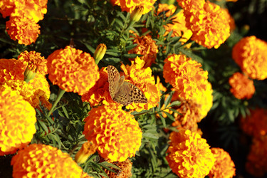 Similar image 11134367