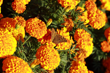 Similar image 11134368