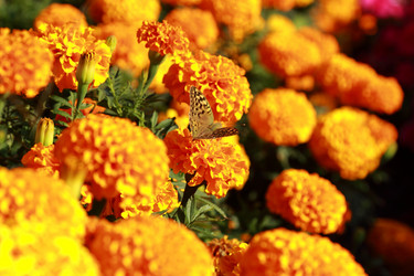 Similar image 11134369