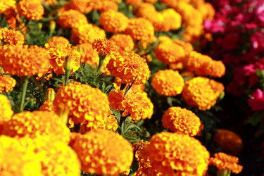 Similar image 11134385