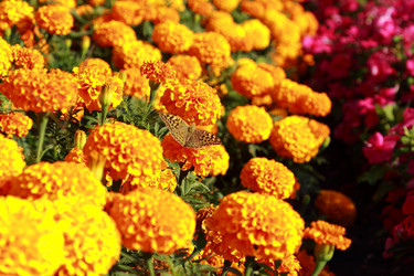 Similar image 11134386