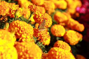 Similar image 11123679