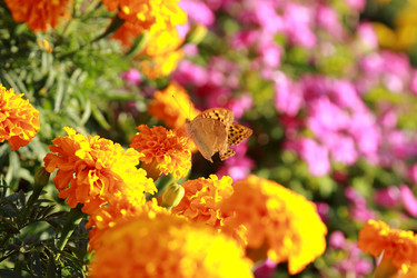 Similar image 11123960