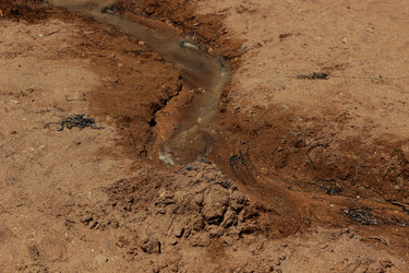 Similar image 11123762