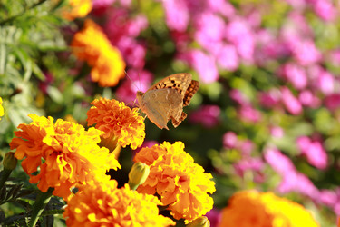 Similar image 11123765