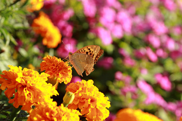 Similar image 11123977