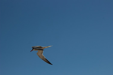 Similar image 11123978