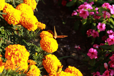 Similar image 11123981