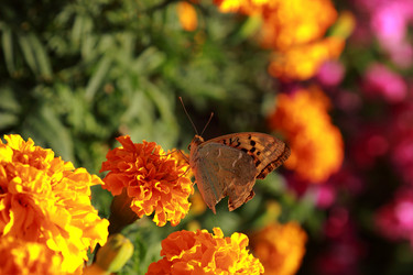 Similar image 11124257