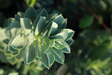 Similar image 11124260