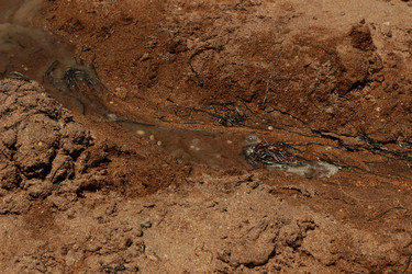 Similar image 11124262