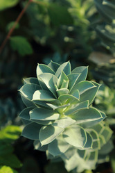 Similar image 11124370