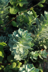 Similar image 11124372