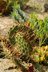 Similar image 11124552