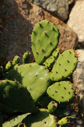 Similar image 11124557