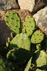 Similar image 11124559