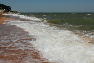 Similar image 11126624