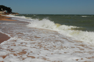 Similar image 11126842