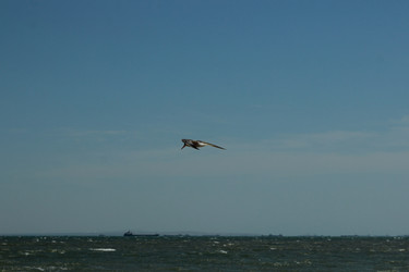 Similar image 11128047