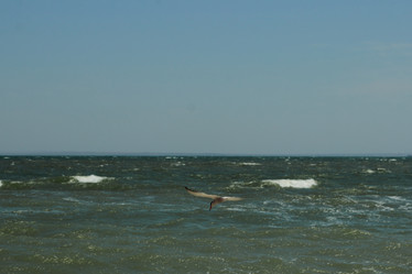 Similar image 11128052