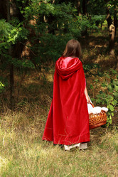 Similar image 11128775