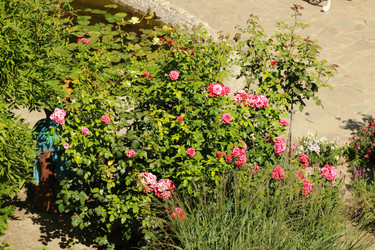 Similar image 11128879