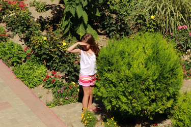 Similar image 11129306