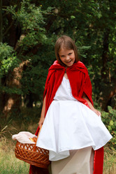 Similar image 11129346