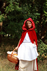 Similar image 11129846