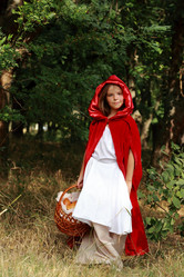 Similar image 11129900