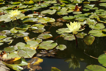 Similar image 11129928