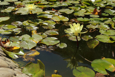 Similar image 11129930