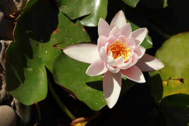 Similar image 11129934