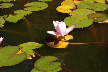 Similar image 11130135