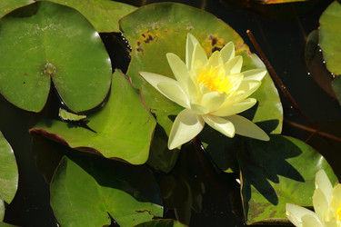 Similar image 11130138