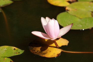 Similar image 11130171