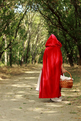 Similar image 11130181