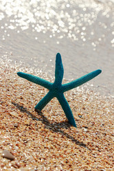 Similar image 11130426