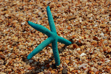 Similar image 11130523