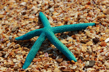 Similar image 11130727