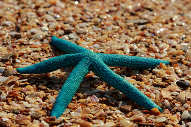 Similar image 11130770