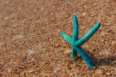 Similar image 11130812