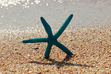 Similar image 11130815