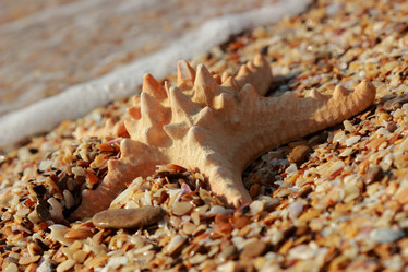 Similar image 11131038