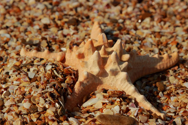 Similar image 11131096