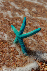 Similar image 11131101