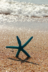 Similar image 11131103